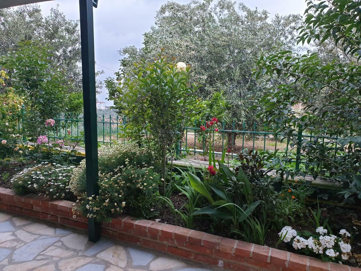 Hotel Lagjini Лукове Экстерьер фото